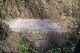 Photo of headstones/thumb_Mary A McLennan d1933 hdsn Florence Butler cem ON